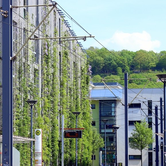 Green Building: Nachhaltige Bürogebäude